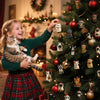 Katten Verrassing Adventkalender