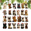 Katten Verrassing Adventkalender