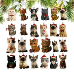 Katten Verrassing Adventkalender